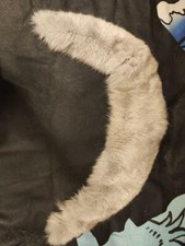 blue fox collar scarf hide fur plet skin taxidermy