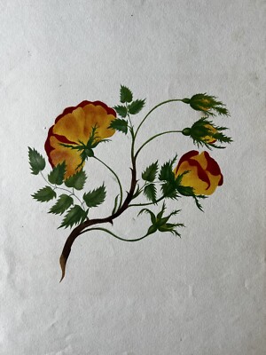 Orange Flowers, Original Antique Print 