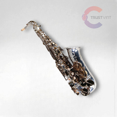 Cannonball AVR/01-SDL Alto Saxophone Vintage Reborn Silver Plate