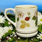 Vintage Wedgwood Wild Strawberry Miniature Tankard Rare Discontinued Mini Cup