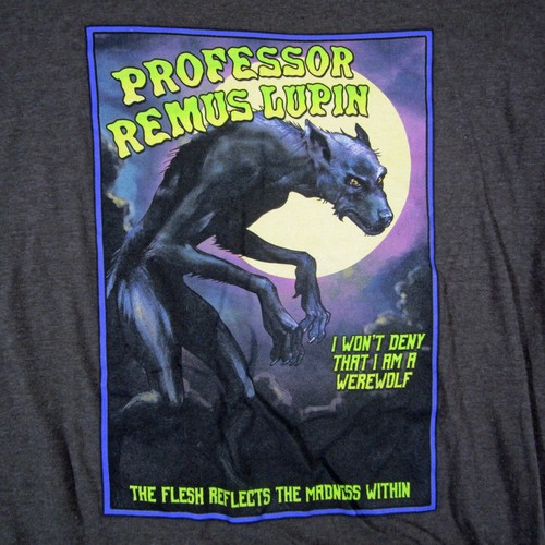 Harry Potter Professor Remus Lupin 