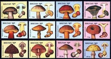 👉 BHUTAN 1989 MUSHROOMS complete set MNH PLANTS, FOOD