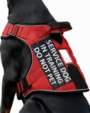 Service Dog in Training Vest, Reflective Do Not Pet Dog Harness with Handle and