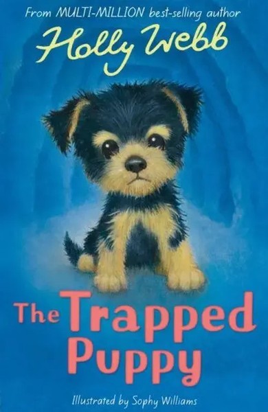 The Trapped Puppy | Holly Webb | Englisch | Taschenbuch | 2023-image