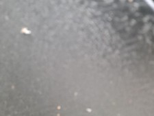 Lève vitre Honda ACCORD