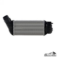LadeluftküHler FüR Peugeot RCZ 3008 GroßRaumlimousine 5008, CitroëN, DS 09-25