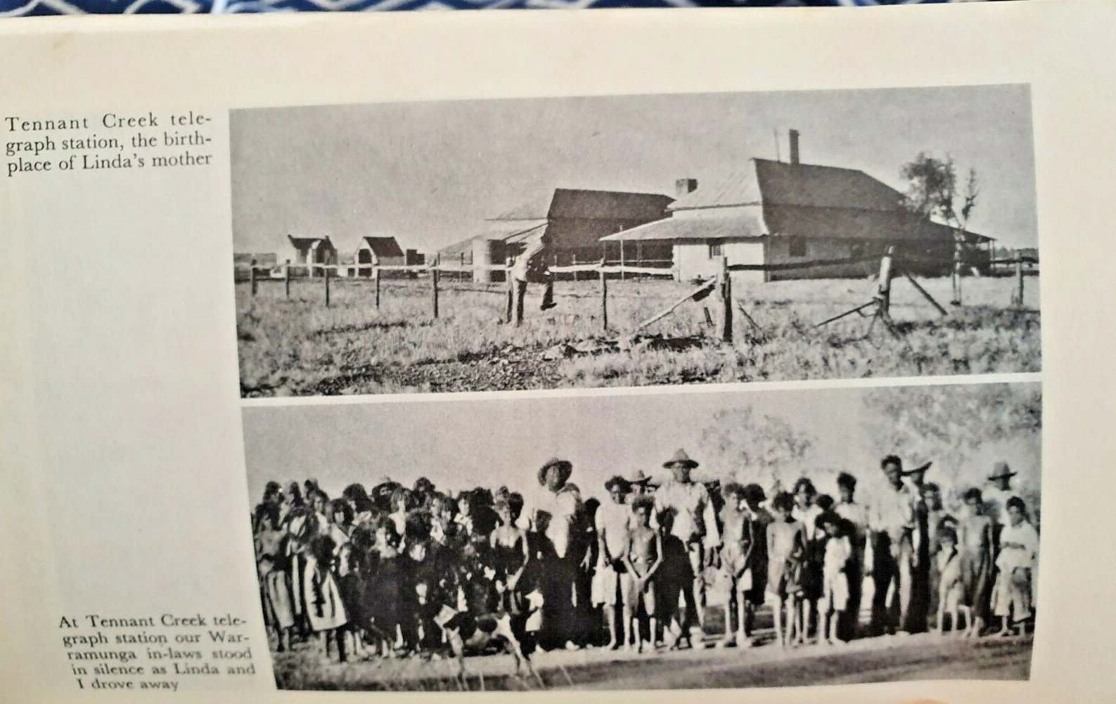 Picture 12 of 12