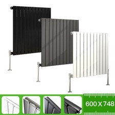 Image of Horizontal Vertical Designer Radiator Flat Panel Oval Column Central Heating RAD