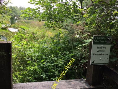 Foto 12x8 Parc Slip Naturschutzgebiet Coytrah\u00ean Sperrgebiet im Parc c2016