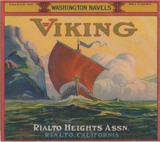 Viking Brand Orange Rialto California Citrus Fruit Crate Ship Label Art Print