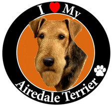 TERRIER AIREDALE DOG ANIMAL Pendant 925 Sterling Silver 22" Necklace Men Women
