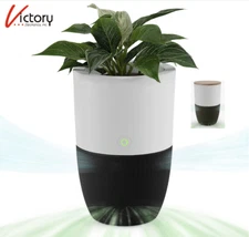 NIOB Bloom Air Purifier by Dupray HEPA-13 Filter Planter w/ Table Top | AIR030W