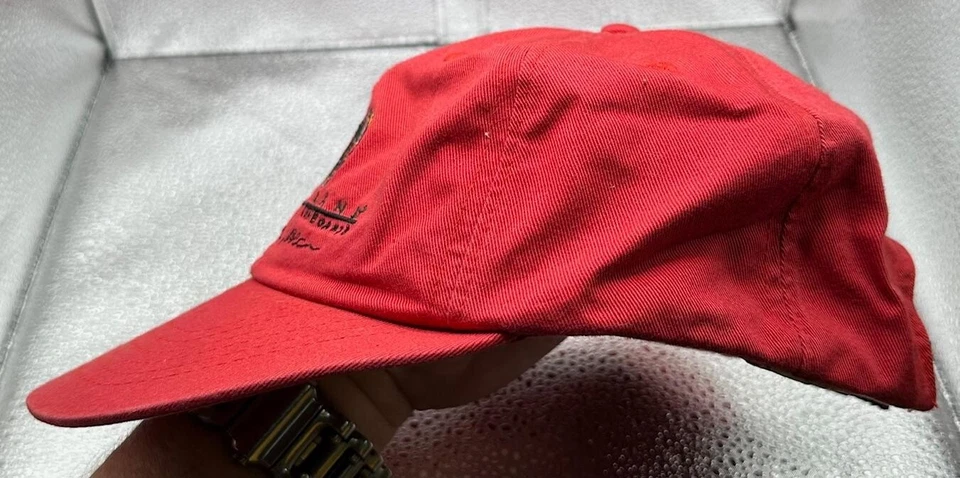 Gorra de béisbol Timberland Big Island tablas de surf longboards equipo meteorológico sombrero #FG Foto 2 de 4