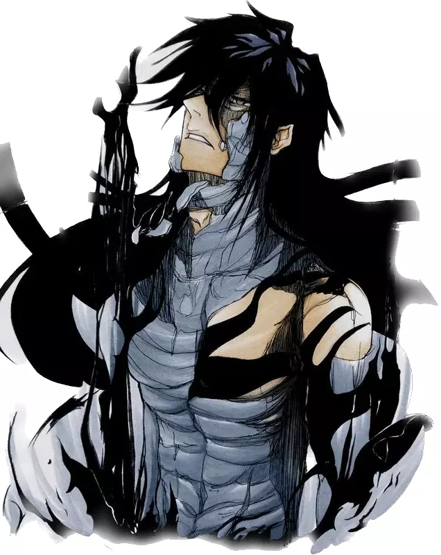 Final Getsuga Tenshou  Bleach anime art, Bleach anime, Bleach anime ichigo