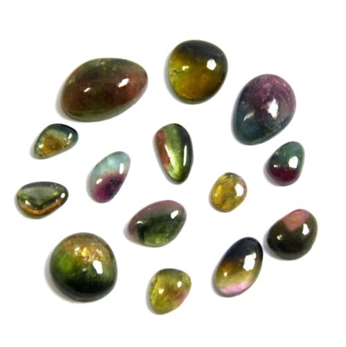 22 Ct Natural Watermelon Bi Color Tourmaline Smooth Rose Cut Slice 14 Piece Lot - Picture 1 of 16