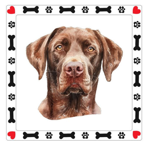 Chesapeake Bay Retriever Dog Sticker Decal A807