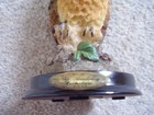 Picture 4 of 7