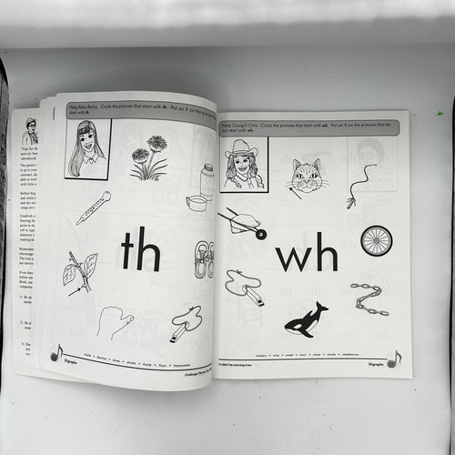 Challenger Phonics Fun Book Vol. 2 Vowels & Reading Activity Homeschool - Picture 2 of 2