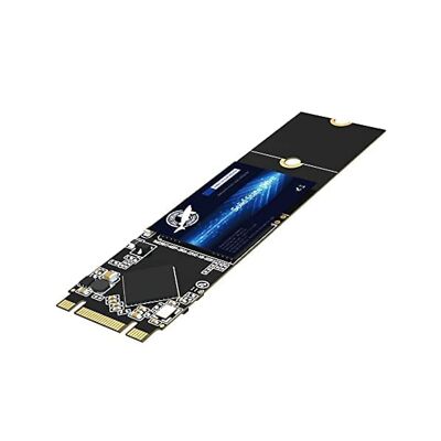 Dogfish M.2 2280 SSD 4TB 3D NAND QLC SATA III 6 Gb/s, Unit?a stato solido int...