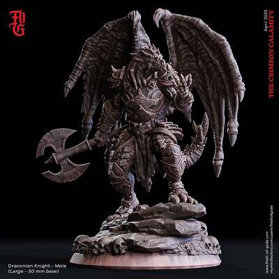 Draconian Knight - Male - The Crimson Calamity - Flesh of Gods - Wargaming D&D D