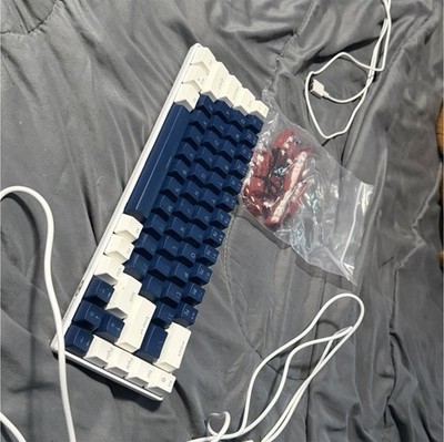 Mechanical Wired USB Keyboard, White/Blue Plastic Keycaps, English QWERTY