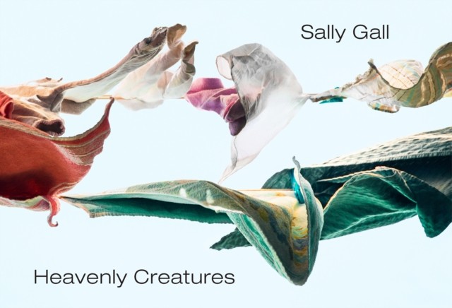 Heavenly Creatures by Sally Gall HARDBACK 9781576879160