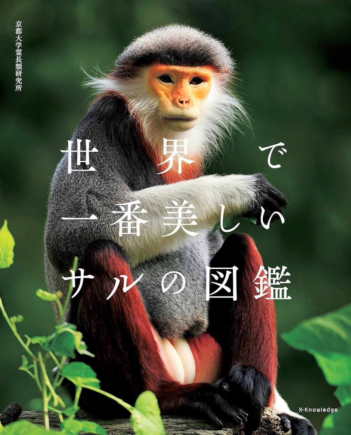 Book The Most Beautiful Monkeys in the World Japanese Paperback