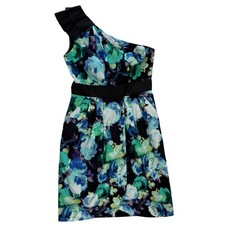 Eliza J Dress Floral Watercolor One Shoulder Size 4 (069)