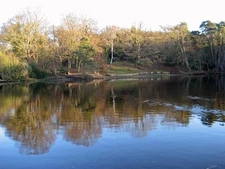 Photo A3 Middle Fishpond, Keston Common  c2012