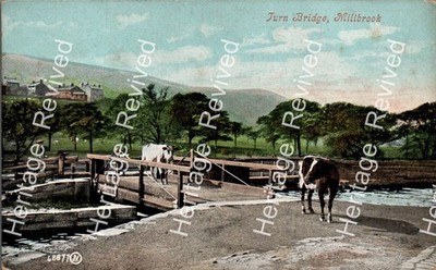 ANTIKE MILLBROOK TURN BRIDGE KÜHE VOR 1917 GEDRUCKTE GROSSBRITANNIEN POSTKARTE