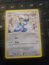 Bagon 76/132 Secret Wonders