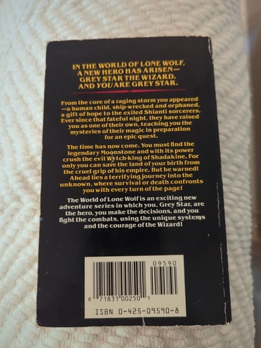 Grey Star the Wizard (The World of Lone Wolf Book 1) - Picture 2 of 4