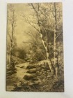 Cartolina d'epoca c1913 ~ Veduta di un torrente attraverso i boschi ~ Buffalo New York NY