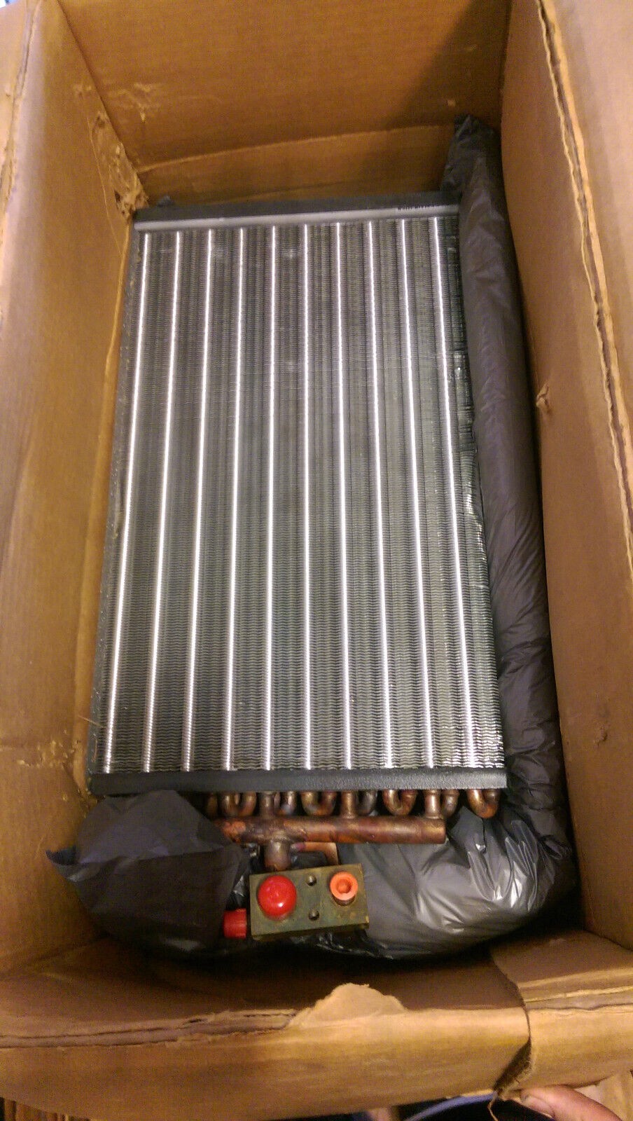Picture 1