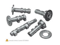 HOT Cams 4019-1 Nockenwelle - Stage 1 Yamaha TTR125