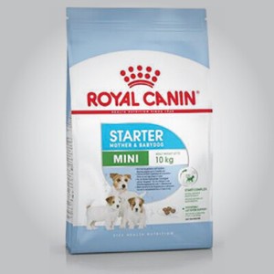 starter royal canin mini