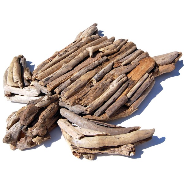 Seestern Treibholz Deko M. SchildkröTe (55 Cm) Motiv Wanddeko Driftwood Holzdeko-image