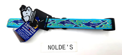 Lupine (M) 3/4'' wide Dolphin Bay  12''- 20'' Dog Collar DS252B2TF883