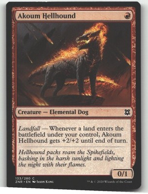 Akoum Hellhound- (LP)--EN-[ZNR - 133]
