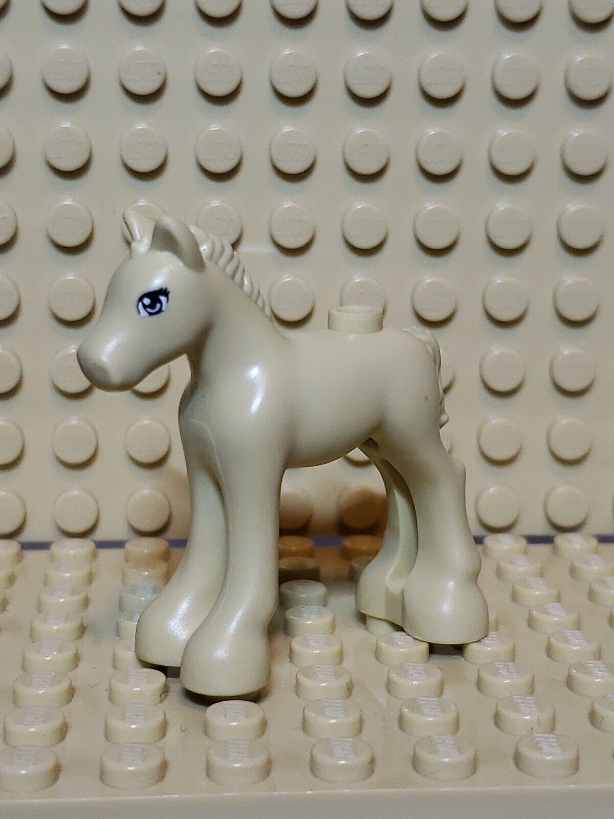 LEGO Friends White Horse Foal Pony 11241pb02 Tan eyes 3 eyelash 41039
