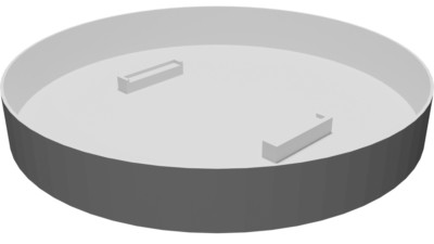 Viewing Dish for Hydractinia Microscope Slides - Lab Equipment