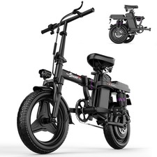 Electric Bike Folding Ebike Removable Battery 700W Peak Motor BICYCLE 48V 15AH
