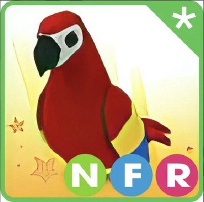 NFR Parrot Adopt Right Now U.S. Seller