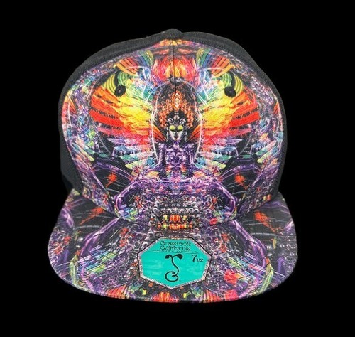 Johnathan Singer Grassroots California ISIS/INA MAY Banjo Glass Remix Fitted Hat