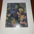 Foto 1 di 8