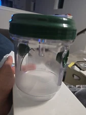 Hoont Solar Powered Outdoor Wasp Trap with UV LED Light HNT-WTS-01