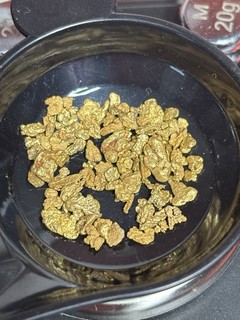 4.60 Grams!! AK YUKON PURE GOLD NUGGETS. 20 24k Some Large $1.00 Start