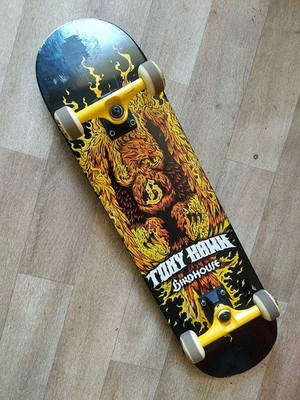 SKATEBOARD TONY HAWK Birdhouse 