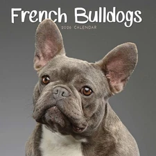 Carousel Worldwide, French Bulldogs 2026 Mini Wall Calendar