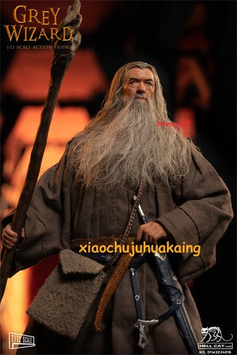Figura de acción masculina Hell Cat DYM202401B 1/12 Grey Wizard modelo versión de lujo - Imagen 4 de 12